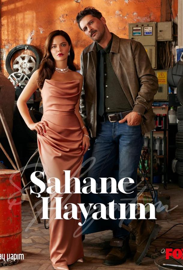 Моя прекрасная жизнь смотреть онлайн