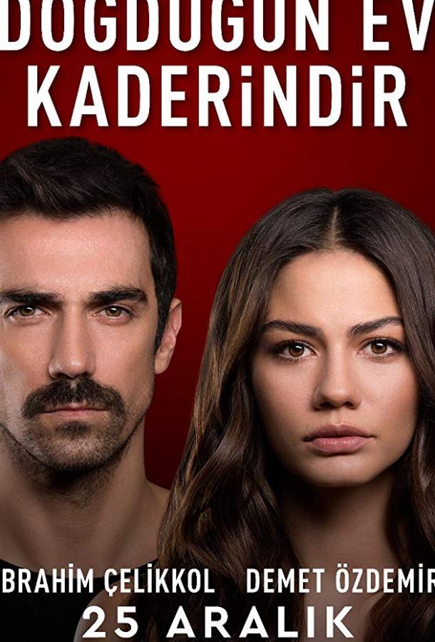 Дом, в котором ты родился, - твоя судьба  смотреть онлайн